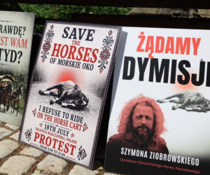 Protest przeciw przewozom konnym do Morskiego Oka