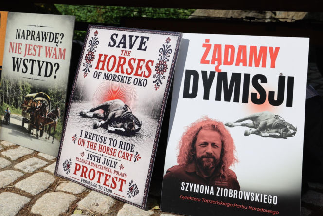 Protest przeciw przewozom konnym do Morskiego Oka