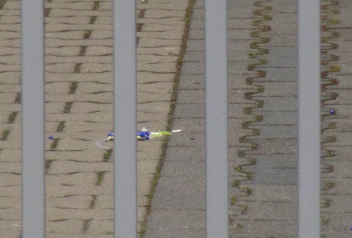 Znokautował policjanta przed sądem i zwiał. Michał ukrywał się w mieszkaniu swojej znajomej. „Był zdziwiony i zaskoczony”