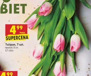 Nowe promocje w Biedronce od 8.03