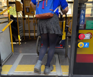 Tak Damięcka dba o psa