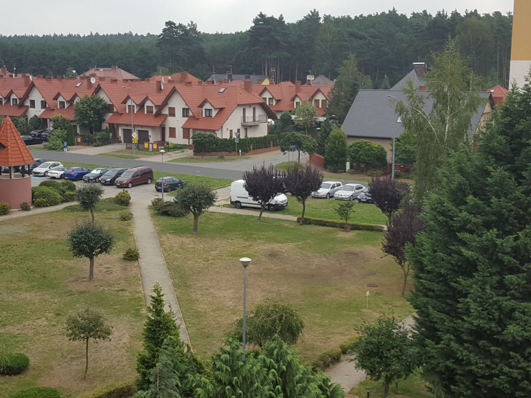 Na osiedlu Rejtana w Lesznie pojawiły się nowe tabliczki – „Zakaz gry w piłkę” 