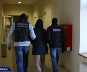 Przemycili 15 ton marihuany i sprzedali 300 kg amfetaminy. Zatrzymano grupę związaną ze środowiskiem pseudokibiców [ZDJĘCIA]