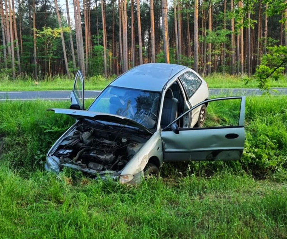 Zabrał samochód brata i skończył w rowie