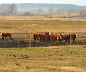 Pałac nad jeziorem czeka na Kaczyńską