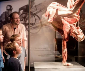 BODY WORLDS – najliczniej odwiedzana wystawa świata powraca do Wrocławia [ZDJĘCIA]
