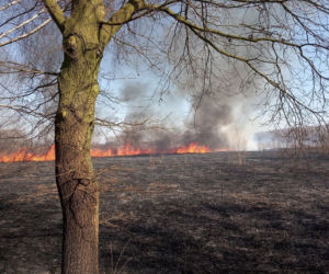 Potężny pożar na Śląsku! Strażacy kilka godzin walczyli z ogniem