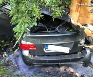 Katowice: Kierowca BMW uderzył w drzewo w Lesie Murckowskim. Jest w stanie ciężkim. 