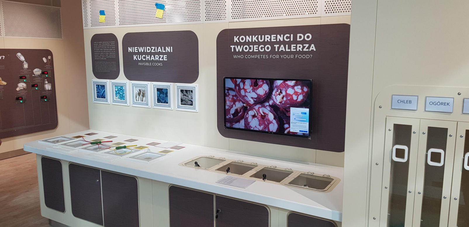 Otwarcie Centrum Nauki Kortosfera w Olsztynie. Bilety już dostępne! Ile kosztują?
