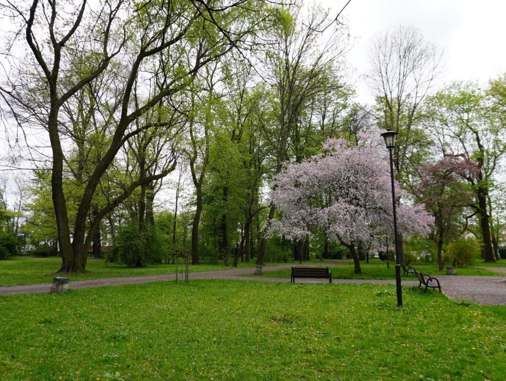 Park Bronowice wiosną 2024