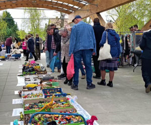 Pchli targ na Pogodnie