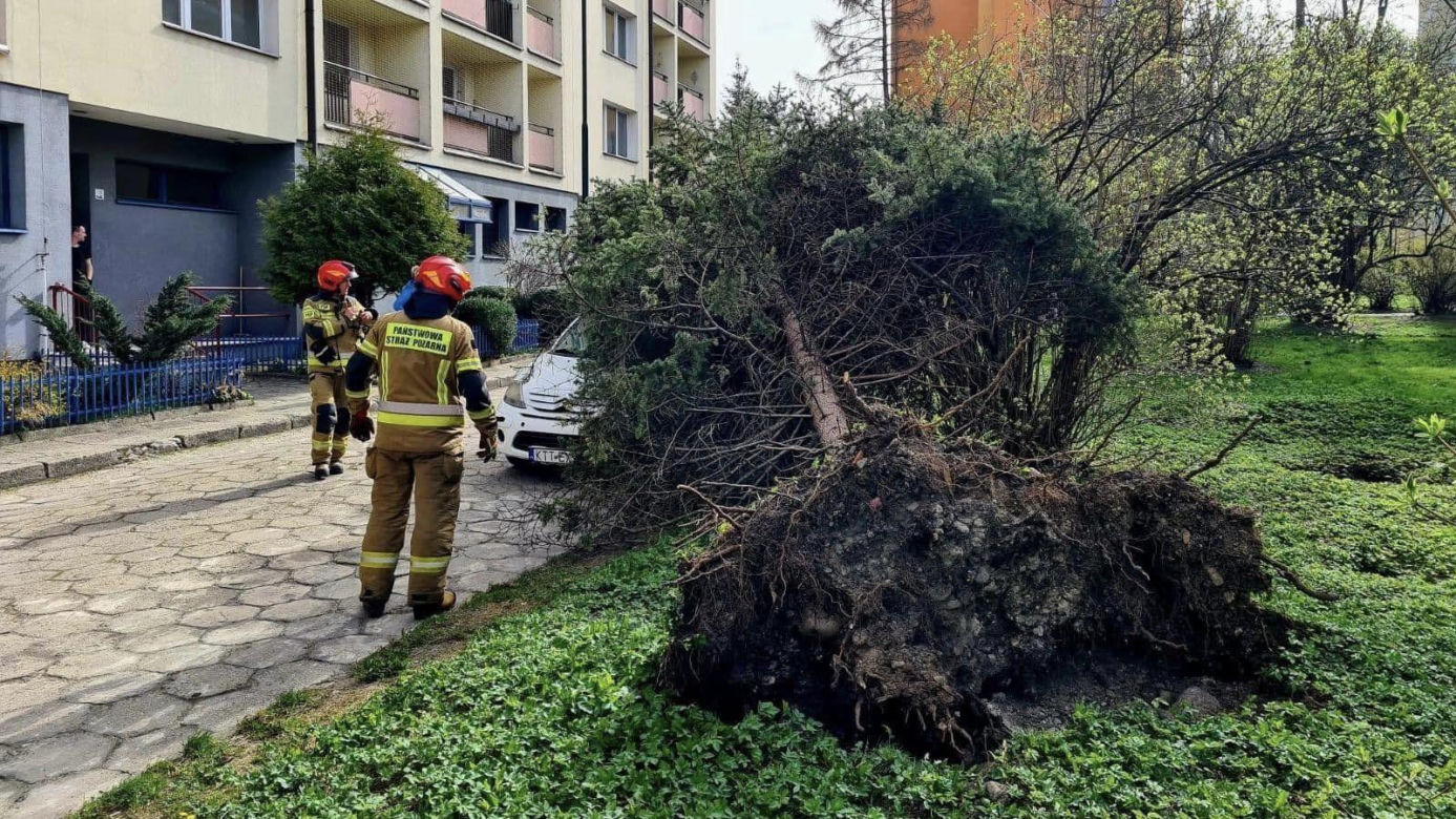 Tragiczny bilans wichur w Małopolsce. Pięć ofiar śmiertelnych i setki interwencji służb