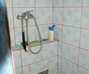 Zdjęcie 7393