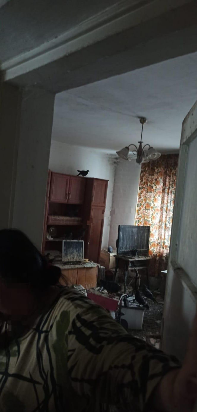 Żyła w mieszkaniu z chmarą gołębi. Służby weszły do środka i oniemiały!