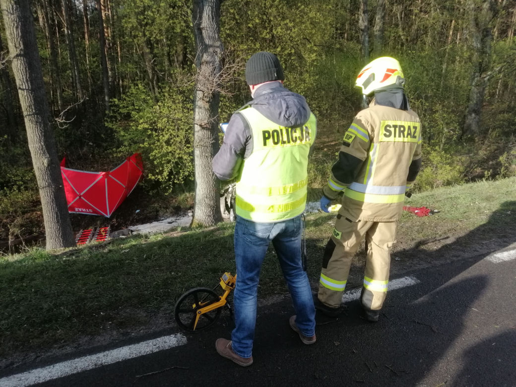 Nie żyją dwie osoby! Ich renault ROZTRZASKAŁO się o drzewo na DK 62 pod Wyszkowem [ZDJĘCIA]