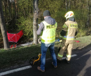 Nie żyją dwie osoby! Ich renault ROZTRZASKAŁO się o drzewo na DK 62 pod Wyszkowem [ZDJĘCIA]