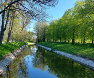 Wiosna w Zamościu