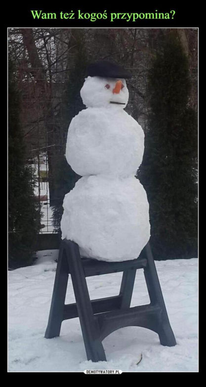 Memy o zimie roztapiają smutki. Te śnieżne obrazki rozbawią cię do łez [TOP 75]