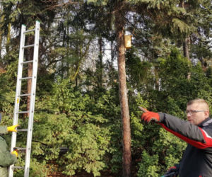  Budki lęgowe zawisły w bydgoskim Ogrodzie Botanicznym UKW w Bydgoszczy