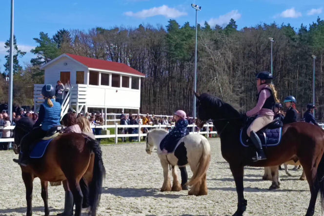Konna święconka w Szczecinie