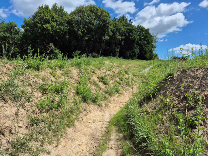 Rekonstrukcja Twierdzy Kraków nad Północną Obwodnicą Krakowa
