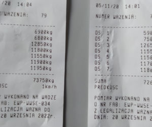 Ważenie Stonogi na wadze ITD