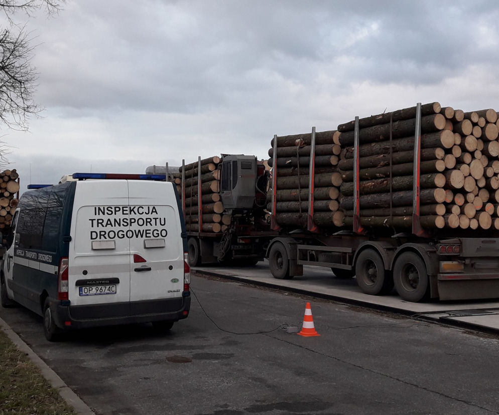 Niesprawne i przeładowane transporty drewna zatrzymane przez ITD. Rekordzista ważył 57 ton!