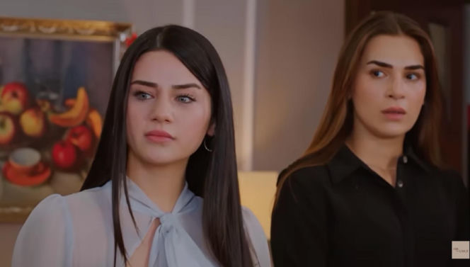 Miłość i nadzieja odc. 348. Bahar, Sila