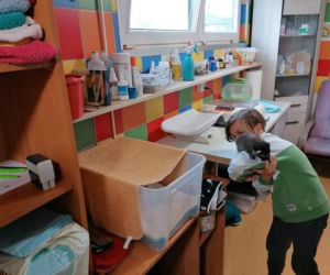 Dolny Śląsk. Strażacy uratowali małego szopa - pracza [ZDJĘCIA]