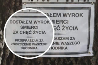 Dostałem wyrok śmierci za chęć życia. Patowycinka w Warszawie