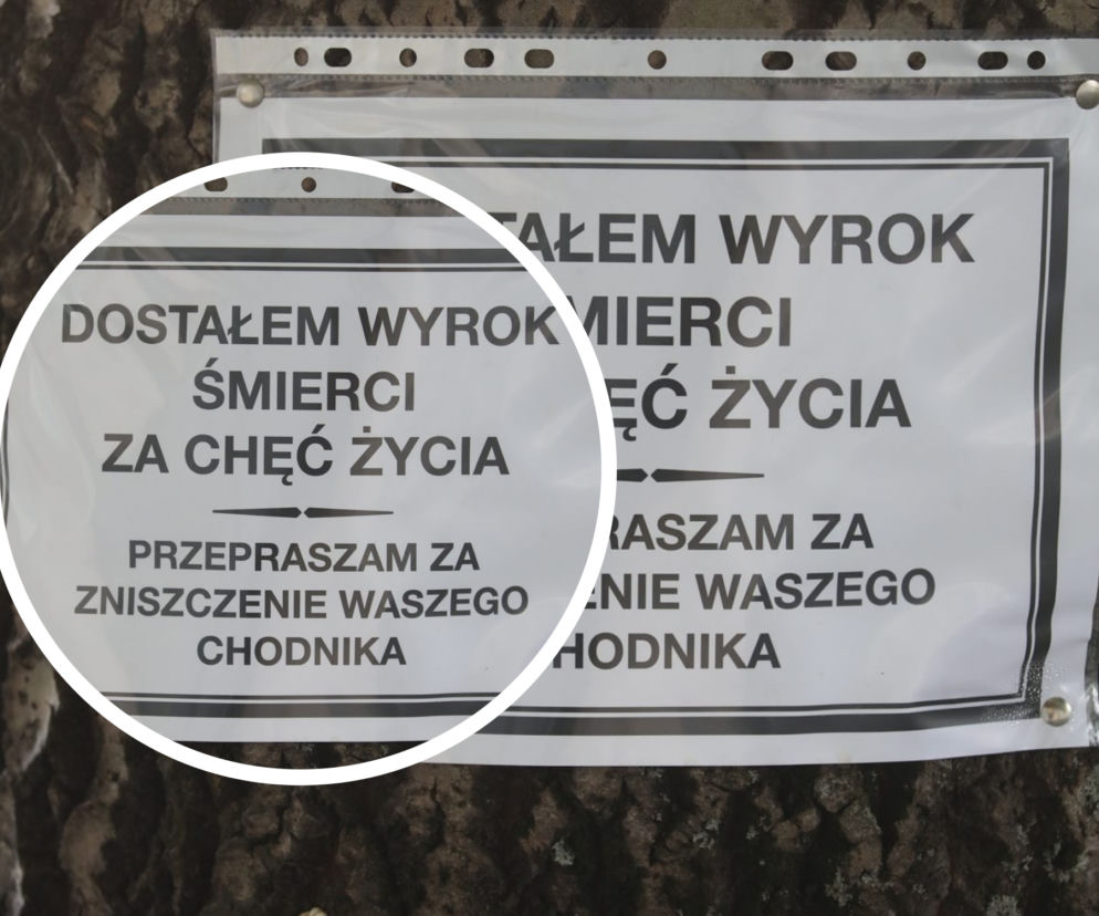 Dostałem wyrok śmierci za chęć życia. Patowycinka w Warszawie