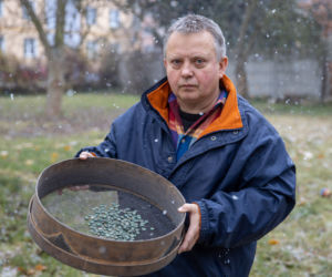 Skarb w polu kukurydzy