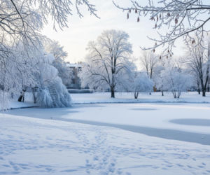Dzieci bawiły się na zamarzniętym stawie, ojciec tylko patrzył. Pilna interwencja