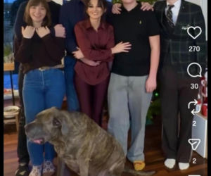 Jacek Rozenek - święta z żoną i synami