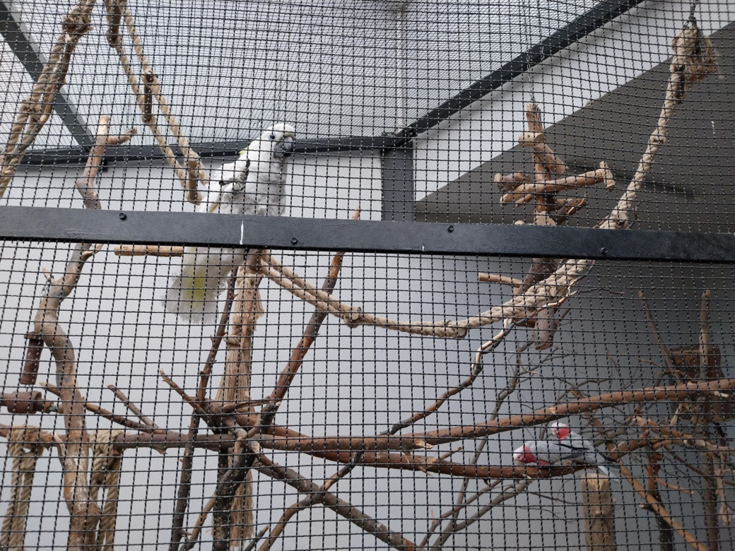 Wiosenny spacer w zamojskim zoo