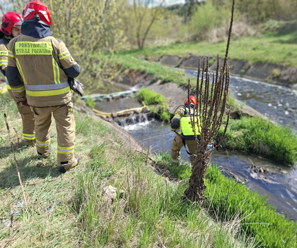 W Starachowicach doszło do zanieczyszczenia rzeki Kamiennej