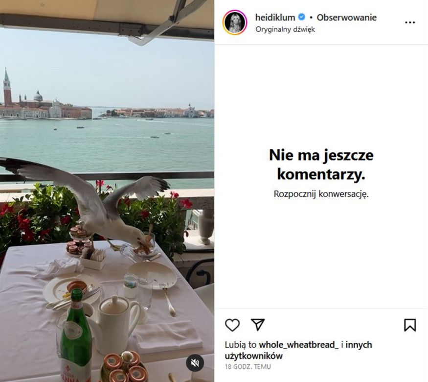 Dramat Heidi Klum! Mewa zniszczyła jej romantyczną randkę