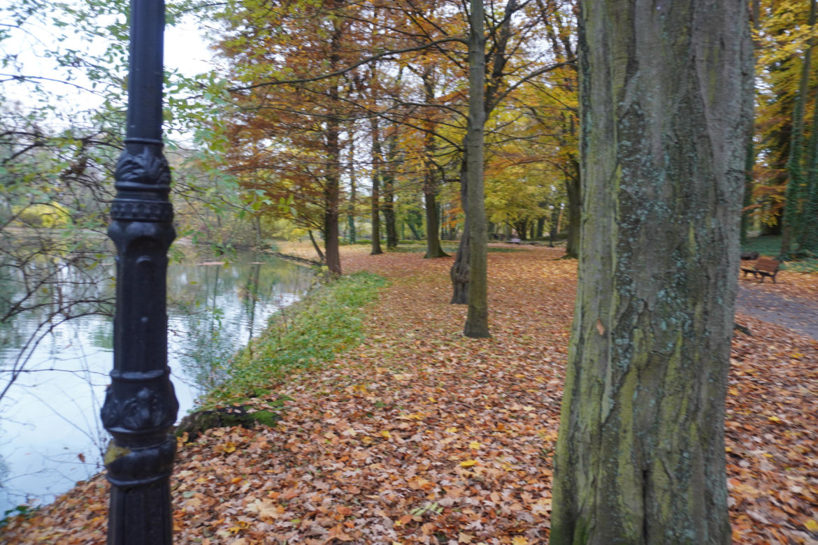 Park Sołacki w Poznaniu jesienią