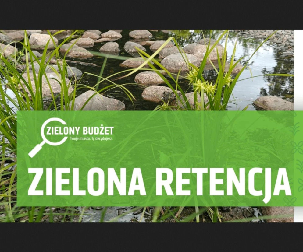 Lublin - w marcu ogłoszenie zielonych projektów