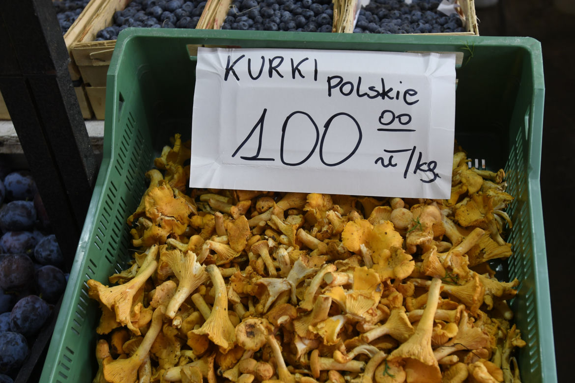 Najbardziej zwala z nóg cena kurek - 100 zł za kg