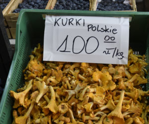 Najbardziej zwala z nóg cena kurek - 100 zł za kg
