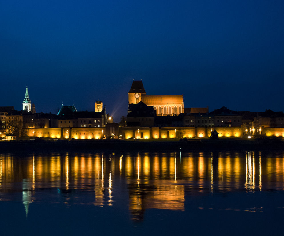 Piękna panorama Torunia - Zdjęcie dnia