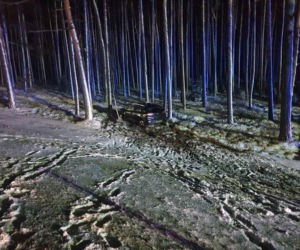 Wypadek na DK 10 w pod Bydgoszczą! Jedna osoba poszkodowana [ZDJĘCIA]