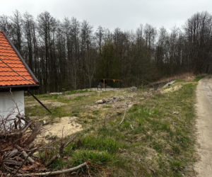 Zabrali dzieciom psa jak rzecz