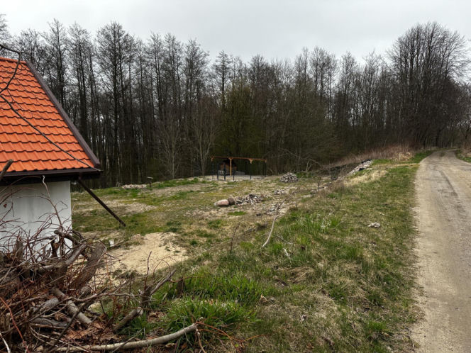 Zabrali dzieciom psa jak rzecz