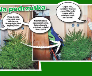 ak pozbyć  się choinki