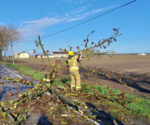 Interwencje Strażaków przy likwidacji szkód spowodowanych przez gwałtowny wiatr i burze