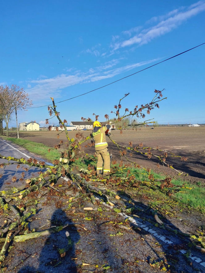 Interwencje Strażaków przy likwidacji szkód spowodowanych przez gwałtowny wiatr i burze