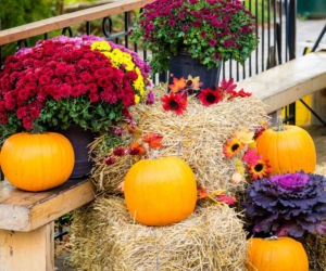 Jesienny balkon