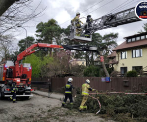 Powalone drzewa i awarie prądu w części województwa